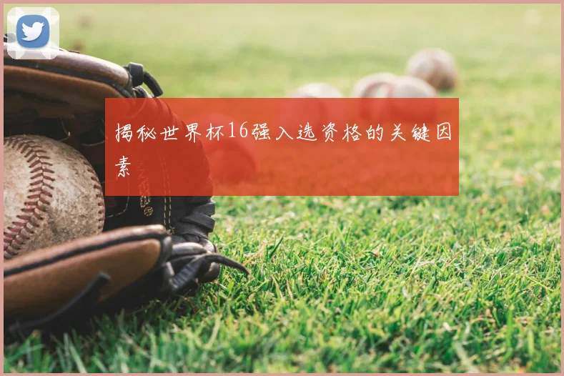 揭秘世界杯16强入选资格的关键因素