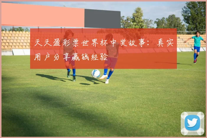天天盈彩票世界杯中奖故事：真实用户分享赢钱经验