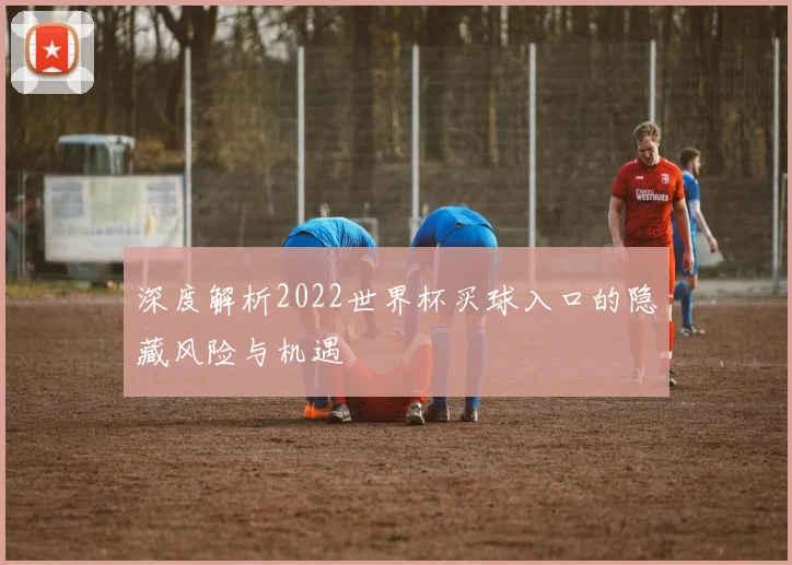 深度解析2022世界杯买球入口的隐藏风险与机遇