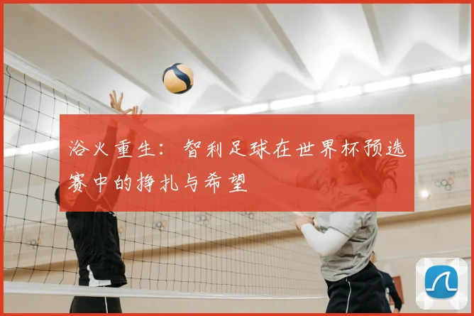 浴火重生：智利足球在世界杯预选赛中的挣扎与希望